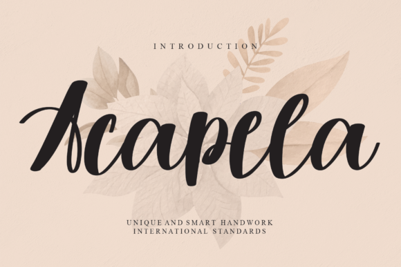 Acapela: A Delicate Handwritten Font for Crafters and Makers