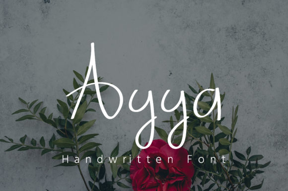 Ayya Font Review: A Script Typeface for Modern Web Design
