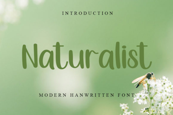 Naturalist Font: A Designer’s Real Branding Project Review