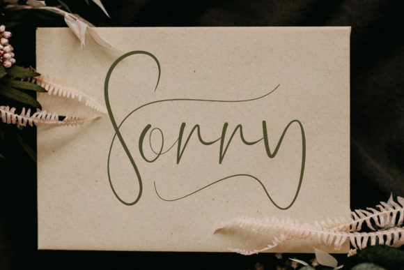 Sorry Font Review: A Graceful Script for Campaign Design